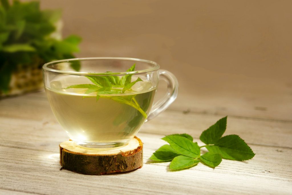 Aegopodium podagraria, also ground elder or gerard's grass, bishop's grass,goutweed. Tea, infusion,